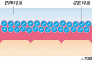 img-lg-tw-zuhan_lip-lasting-coat_03