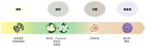 清新:绿色蔬菜 柑橘类植物 放松:茶树花(Teatopia) 茉莉花 玫瑰花 沉稳:木质芳香  振奋感:薰衣草 麝香