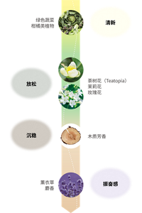 清新:绿色蔬菜 柑橘类植物 放松:茶树花(Teatopia) 茉莉花 玫瑰花 沉稳:木质芳香  振奋感:薰衣草 麝香