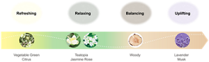 Refreshing:Vegetable Green Citrus Relaxing:Teatopia Jasmine Rose Balancing:Woody Uplifting:Lavender Musk