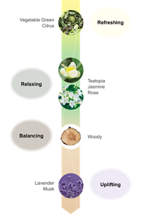 Refreshing:Vegetable Green Citrus Relaxing:Teatopia Jasmine Rose Balancing:Woody Uplifting:Lavender Musk