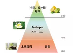 前调 柠檬、香柠檬 绿茶 中调 Teatopia 玫瑰、依兰 后调 木质香调 麝香