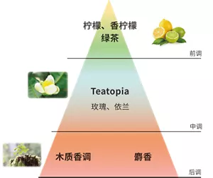 前调 柠檬、香柠檬 绿茶 中调 Teatopia 玫瑰、依兰 后调 木质香调 麝香