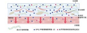 23ss_skincare_図版
