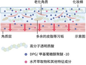 23ss_skincare_図版