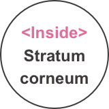 en_inside