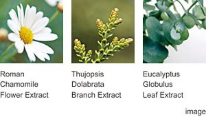 Roman Chamomile Flower Extract  Thujopsis Dolabrata Branch Extract  Eucalyptus Globulus Leaf Extract
