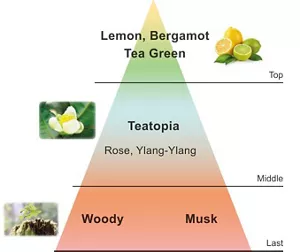Top:Lemon,Bergamot Tea Green | Middle:Teatopia Rose, Ylang-Ylang | Last:Woody Musk