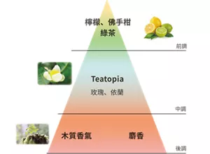 前調:檸檬、佛手柑綠茶 | 中調:Teatopia 玫瑰、依蘭 | 後調:木質香氣 麝香