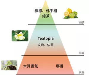 前調:檸檬、佛手柑綠茶 | 中調:Teatopia 玫瑰、依蘭 | 後調:木質香氣 麝香