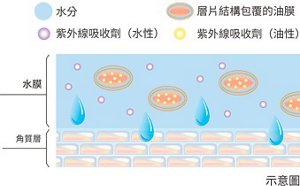 img-sm_tc_veil_of_day_02