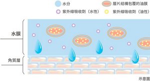 img_tc_veil_of_day_02