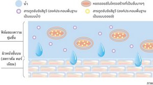 img_th_veil_of_day_02