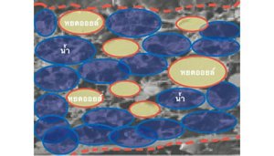 img_th_veil_of_day_03