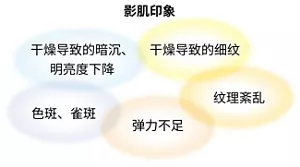 影肌印象 干燥导致的细纹 纹理紊乱 弹力不足 色斑、雀斑 干燥导致的暗沉、明亮度下降