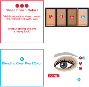 ABC Sheer Brown Colors Vivid-coloration sheer colors that blend well with skin and deliver delicate glitter with glossy radiance, without giving the eye a heavy look! Add dimension to the eye for an effortless look. A Light Brown Color B Medium Brown Color C Deep Brown Color D Blending Clear Pearl Color D Blending Clear Pearl Color Apply over the browns to emphasize the contoured glossy look. POINT! With the finishing color (D), it is easy to adjust the contouring effect!