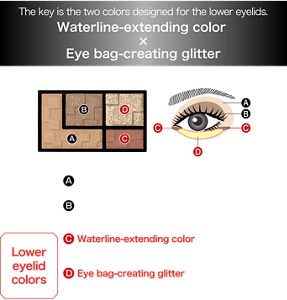 The key is the two colors designed for the lower eyelids. Waterline-extending color x Eye bag-creating glitter Shade colors A Base shading color Brightens the eye area B Medium shading color Adds depth to the eye area Lower eyelid colors C Waterline-extending color Apply to the inner and outer corners of the lower eyelid like eyeliner to expand the eyes horizontally D Eye bag-creating glitter Creates glittery contour for the lower eyelids to expand vertically