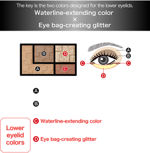 The key is the two colors designed for the lower eyelids. Waterline-extending color x Eye bag-creating glitter Shade colors A Base shading color Brightens the eye area B Medium shading color Adds depth to the eye area Lower eyelid colors C Waterline-extending color Apply to the inner and outer corners of the lower eyelid like eyeliner to expand the eyes horizontally D Eye bag-creating glitter Creates glittery contour for the lower eyelids to expand vertically