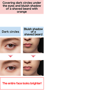 Covering dark circles under the eyes and bluish shadow of a shaved beard with orange Superior coverage and adhesion. Stays put even around the eyes and mouth, where the skin moves more. Dark circles Bluish shadow of a shaved beard Before After The entire face looks brighter! Finished image (OR)