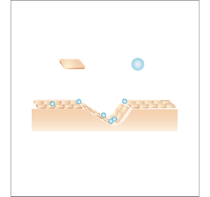 Skin is repainted in a single swipe like a filtering effect. Coverage filter formula <Opaque plate-like particles> Solid Coverage + <Hard spherical particles> Evenly spreads in a single swipe <Illustration> The two types of particles provide filtering-like effects that repaint and flatter the skin in a single swipe by providing coverage and spreading lightly to transform skin to a beautiful finish with even coverage.