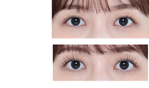 Before (Bare eyelashes) After (Using Long BK‑1) Finished image