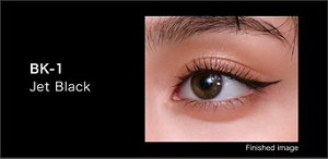 BK‑1 Jet Black Finished image