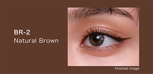 BR‑2 Natural Brown Finished image