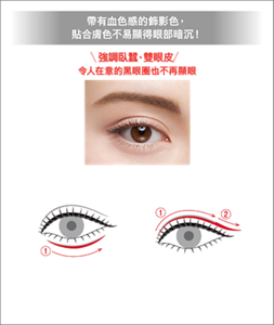 帶有血色感的飾影色, 貼合膚色不易顯得眼部暗沉! \強調臥蠶、雙眼皮/ 令人在意的黑眼圈也不再顯眼 妝效示意圖(PK-1) 臥蠶線條 ①在臥蠶下方描繪線條,可以創造出帶有血色感的立體眼部印象。 雙眼皮線條 ①在雙眼皮褶線或想畫出雙眼皮的部位描繪線條,可以強調眼幅。 ②描繪較長的眼線,並畫上與眼線平行的雙眼皮線條,可以擴大眼幅,創造大眼印象。