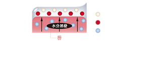 凍狀薄膜 水分蒸發 唇 珠光成分 色料 水分 (示意圖) 利用唇部蒸發的水分 轉化為高服貼凍狀薄膜 實現長時間持色