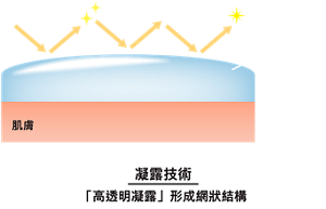 配方技術 光 光澤 透明凝露 肌膚 〈示意圖〉 凝露技術 「高透明凝露」形成網狀結構