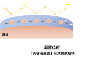 光 光澤 美容液凝露 遮瑕成分 月色珠光 肌膚 〈示意圖〉 凝露技術 「美容液凝露」形成網狀結構