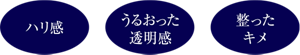 美肌のポイントはハリ感、うるおった透明感、整ったキメ。
