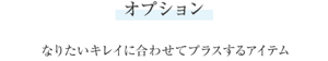 オプション なりたいキレイに合わせてプラスするアイテム