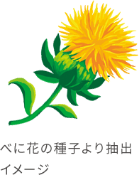 ハイオレイックサフラワー油(保湿)。べに花の種子より抽出