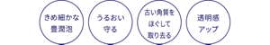 きめ細やかな豊潤泡(ほうじゅんあわ) うるおい守る 古い角質をほぐして取り去る 透明感アップ