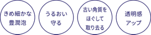 きめ細やかな豊潤泡(ほうじゅんあわ) うるおい守る 古い角質をほぐして取り去る 透明感アップ