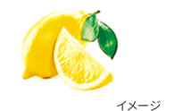 レモン果実エキス(保湿)