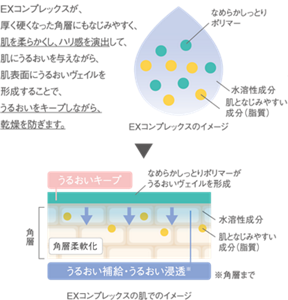 EXコンプレックスが、厚く硬くなった角層にもなじみやすく、肌を柔らかくし、ハリ感を演出して、肌にうるおいを与えながら、肌表面になめらかしっとりポリマーがうるおいヴェイルを形成することで、うるおいをキープしながら、乾燥を防ぎます。