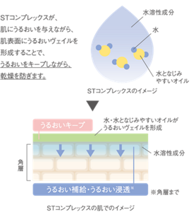 STコンプレックスが、肌にうるおいを与えながら、肌表面に水、水となじみやすいオイルがうるおいヴェイルを形成することで、うるおいをキープしながら、乾燥を防ぎます。