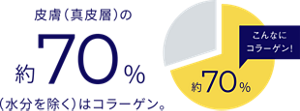 皮膚(真皮層)の約70%(水分を除く)はコラーゲン