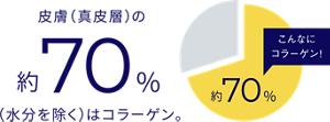 皮膚(真皮層)の約70%(水分を除く)はコラーゲン