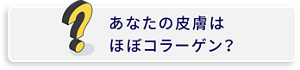 あなたの皮膚はほぼコラーゲン?