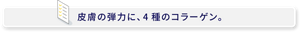 皮膚の弾力に4種のコラーゲン