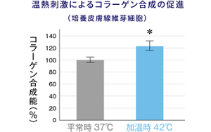 培養皮膚線維芽細胞での、温熱刺激によるコラーゲン合成の促進のグラフ  平常時37℃と加温時42℃を比較し、温熱刺激によってコラーゲン合成が促進されていることが確認されました。