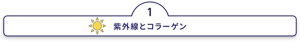 紫外線とコラーゲン