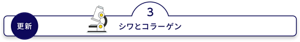 更新 シワとコラーゲン