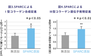 図3 SPARCによるⅠ型コラーゲン合成促進のグラフ 図4 SPARCによるⅢ型コラーゲン遺伝子発現促進のグラフ
