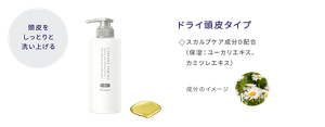 頭皮をしっとりと洗い上げる ヘアメインテナンスシャンプー D ドライ頭皮タイプ スカルプケア成分D配合(保湿:ユーカリエキス、カミツレエキス)