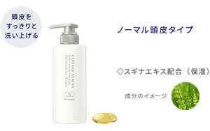 頭皮をすっきりと洗い上げる ヘアメインテナンスシャンプー N ノーマル頭皮タイプ スギナエキス配合(保湿)