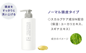 頭皮をすっきりと洗い上げる ヘアメインテナンスシャンプー N ノーマル頭皮タイプ スカルプケア成分N配合(保湿:ユーカリエキス、スギナエキス)